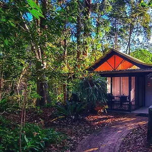 Rainforest 3*, Byron Bay Australia